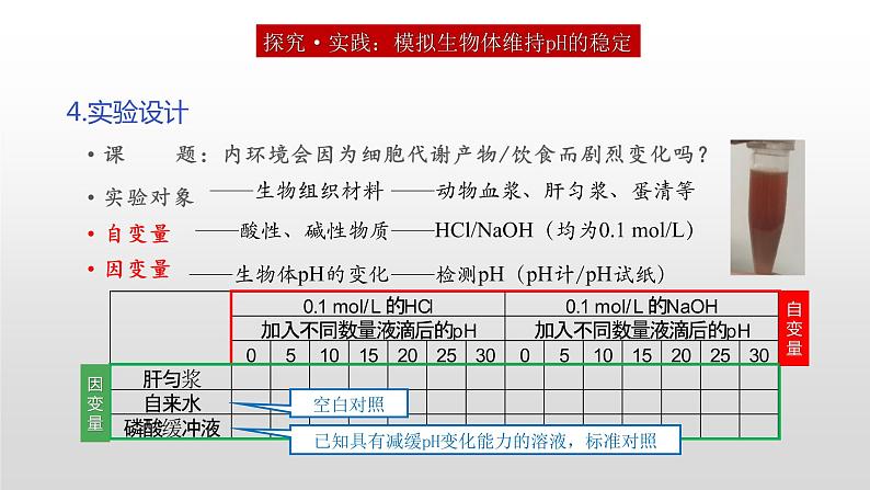 高中生物选择性必修一   1.2 内环境的稳态 课件07