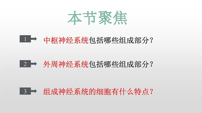 高中生物选择性必修一   2.1 神经调节的结构基础  课件03