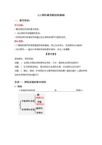 2021学年第1节 神经调节的结构基础学案