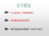 高中生物选择性必修一   2.2 神经调节的基本方式 课件