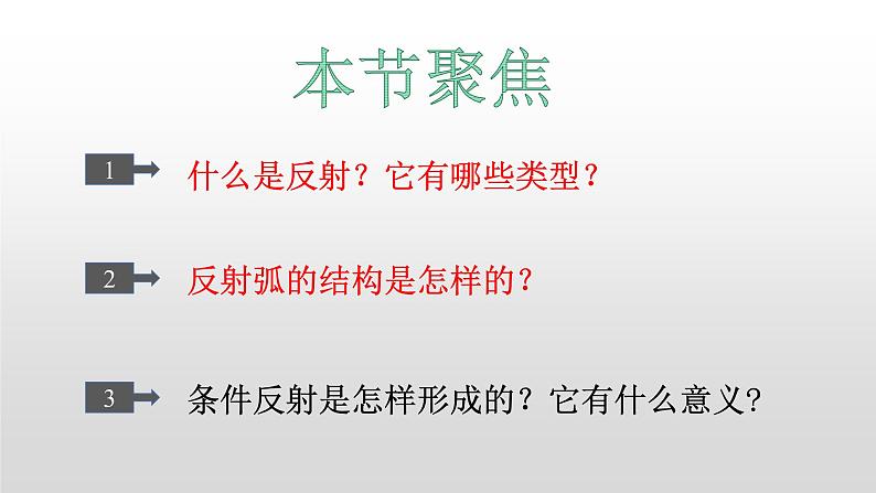 高中生物选择性必修一   2.2 神经调节的基本方式 课件第3页