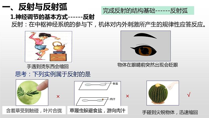 高中生物选择性必修一   2.2 神经调节的基本方式 课件第5页