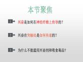高中生物选择性必修一   2.3 神经冲动的产生和传导 课件