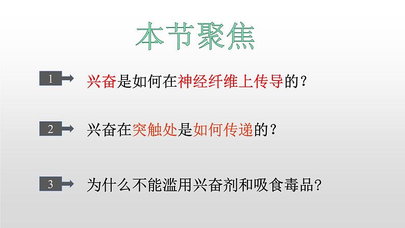 高中生物选择性必修一   2.3 神经冲动的产生和传导 课件第3页