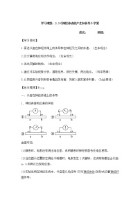 人教版 (2019)选择性必修1第2章 神经调节第3节 神经冲动的产生和传导学案及答案