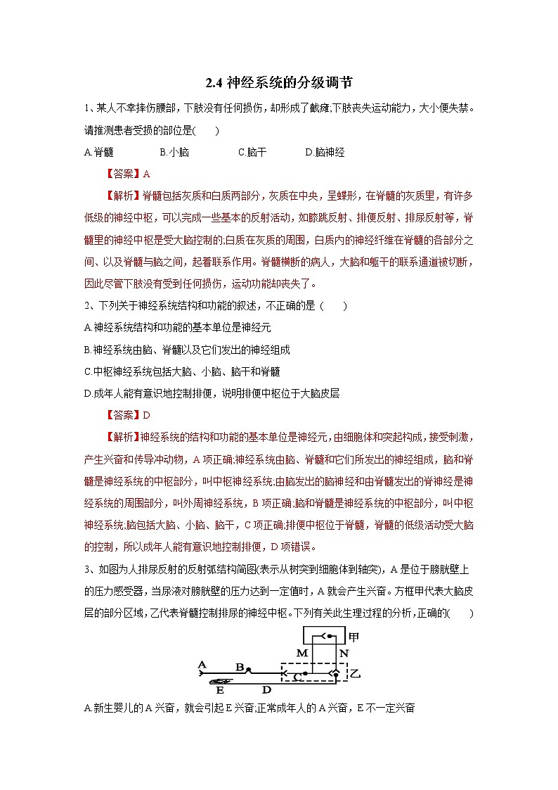 高中生物选择性必修一   2.4 神经系统的分级调节（练习）(含答案)01