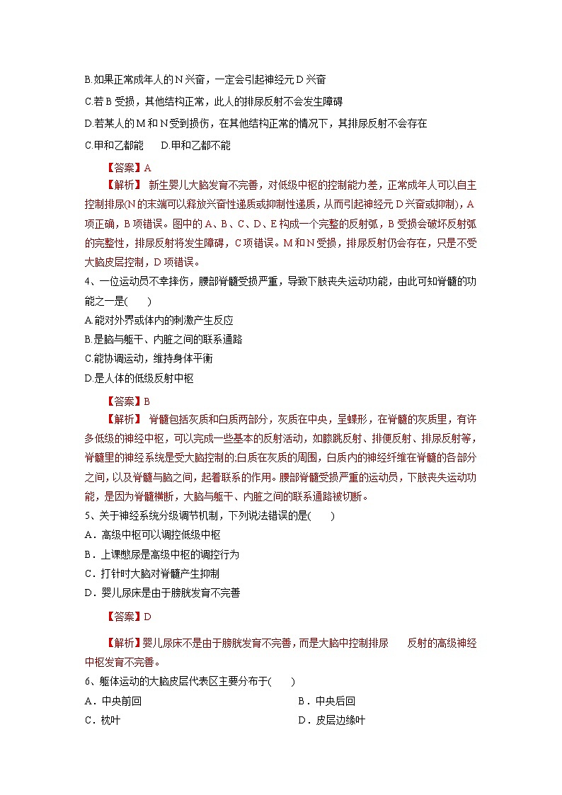 高中生物选择性必修一   2.4 神经系统的分级调节（练习）(含答案)02