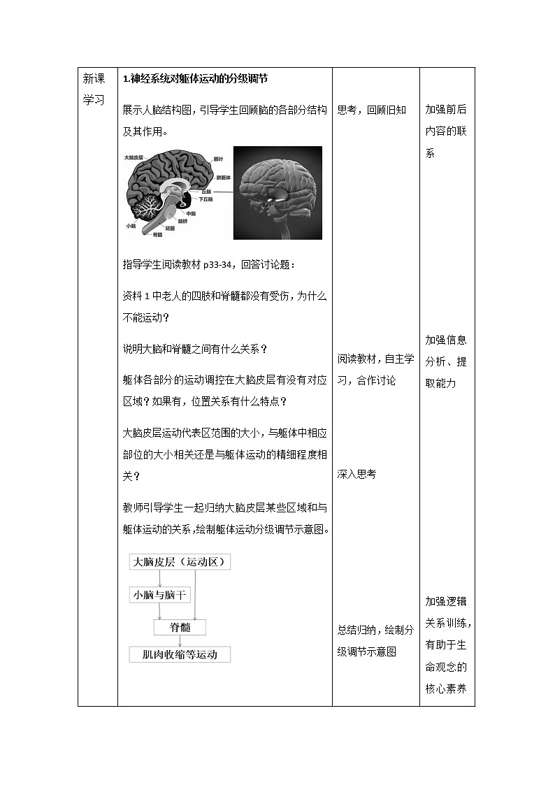 高中生物选择性必修一   2.4《神经系统的分级调节》教案第2页