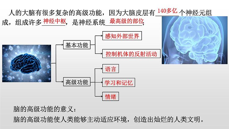 高中生物选择性必修一   2.5 人脑的高级功能  课件05