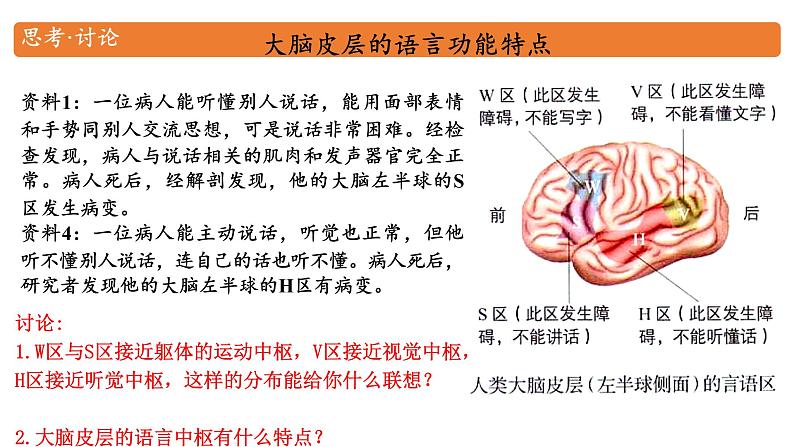 高中生物选择性必修一   2.5 人脑的高级功能  课件07