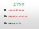 高中生物选择性必修一   3.2 激素调节的过程 课件