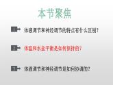 高中生物选择性必修一   3.3 体液调节与神经调节的关系 课件