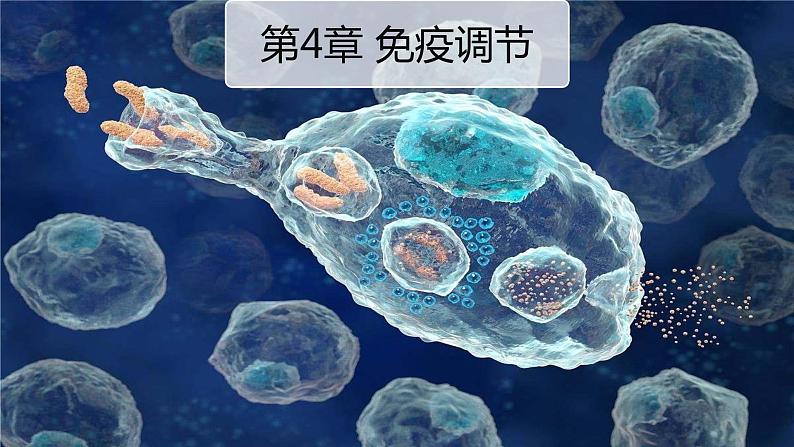 高中生物选择性必修一   4.1 免疫系统的组成和功能 课件01