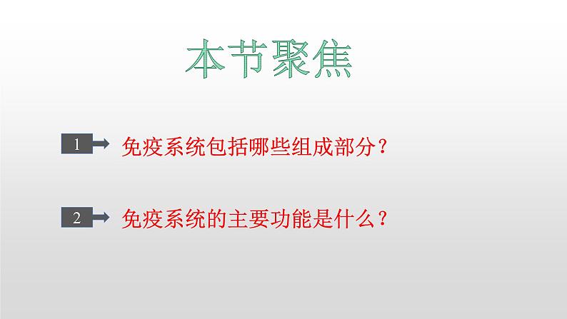 高中生物选择性必修一   4.1 免疫系统的组成和功能 课件03