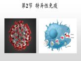 高中生物选择性必修一   4.2 特异性免疫 课件