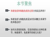 高中生物选择性必修一   4.2 特异性免疫 课件
