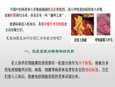 高中生物选择性必修一   4.2 特异性免疫 课件