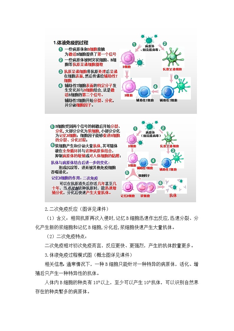 高中生物选择性必修一   4.2 特异性免疫 教案03