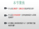 高中生物选择性必修一   4.3 免疫失调  课件