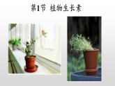高中生物选择性必修一   5.1 植物生长素 课件