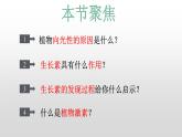高中生物选择性必修一   5.1 植物生长素 课件