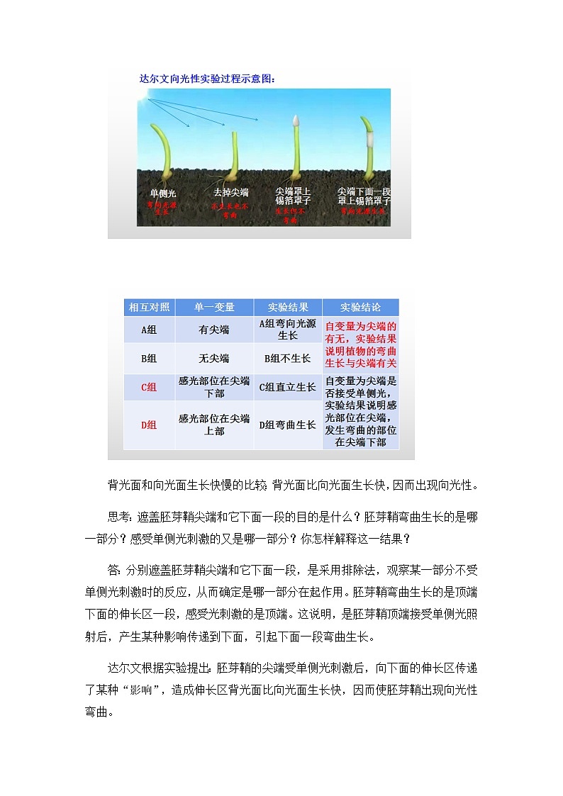 高中生物选择性必修一   5.1 植物生长素 教案03