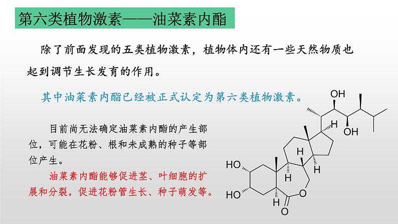 高中生物选择性必修一   5.2 其他植物激素 课件08