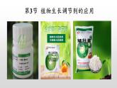 高中生物选择性必修一   5.3 植物生长调节剂的应用 课件