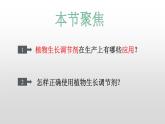 高中生物选择性必修一   5.3 植物生长调节剂的应用 课件