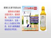 高中生物选择性必修一   5.3 植物生长调节剂的应用 课件