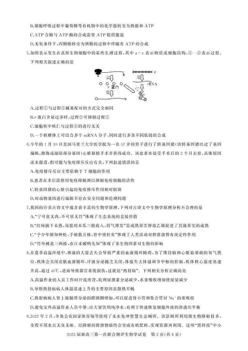 湖北省高中名校联盟20222023学年高三上学期第一次联合测评 生物试题及答案02