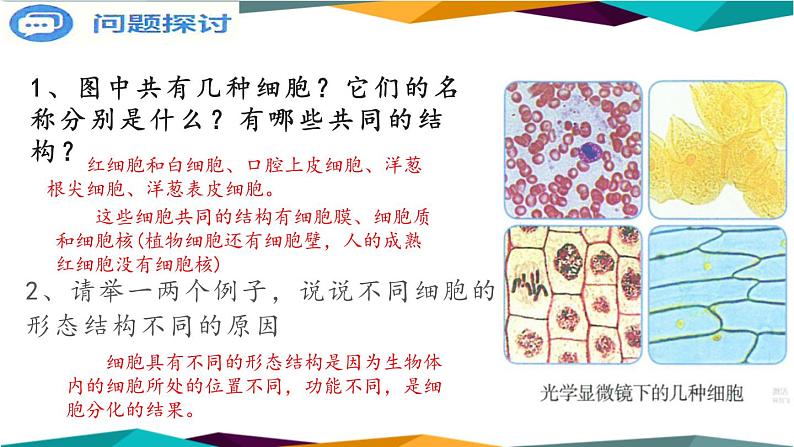 配套新教材高中生物学RJ必修1-1.2《细胞的多样性和统一性》课件PPT第2页