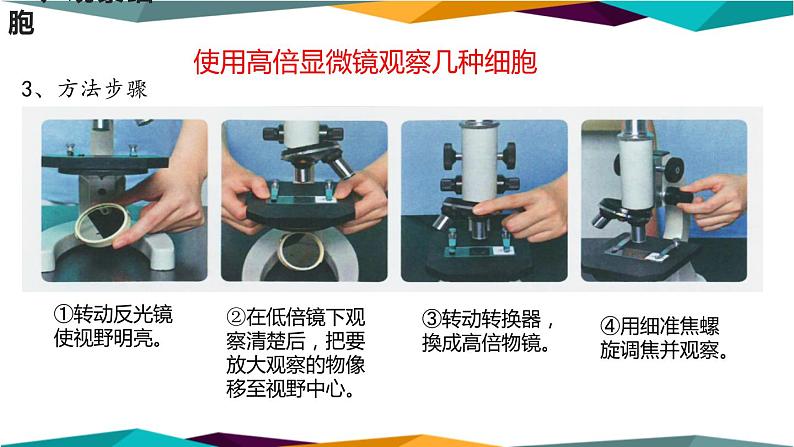 配套新教材高中生物学RJ必修1-1.2《细胞的多样性和统一性》课件PPT第4页