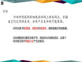配套新教材高中生物学RJ必修1-1.2《细胞的多样性和统一性》课件PPT