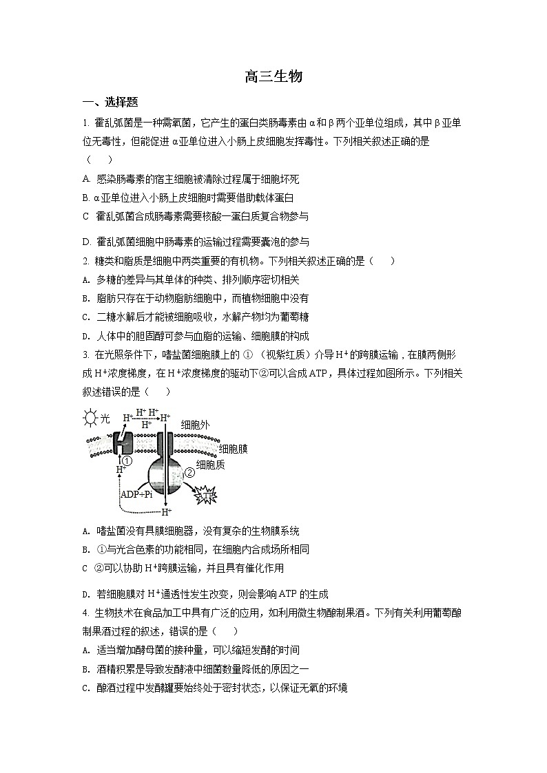 2023湖北省高中名校联盟高三第一次联合测评生物试题（含答案）01