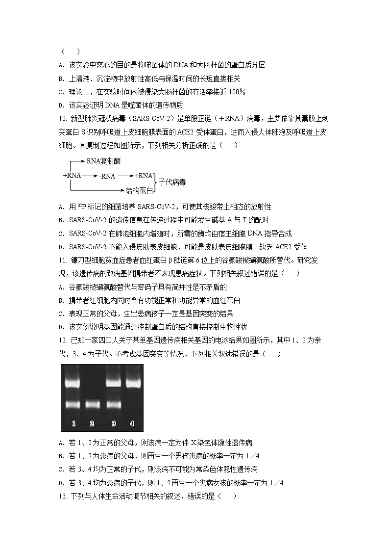 2023湖北省高中名校联盟高三第一次联合测评生物试题（含答案）03