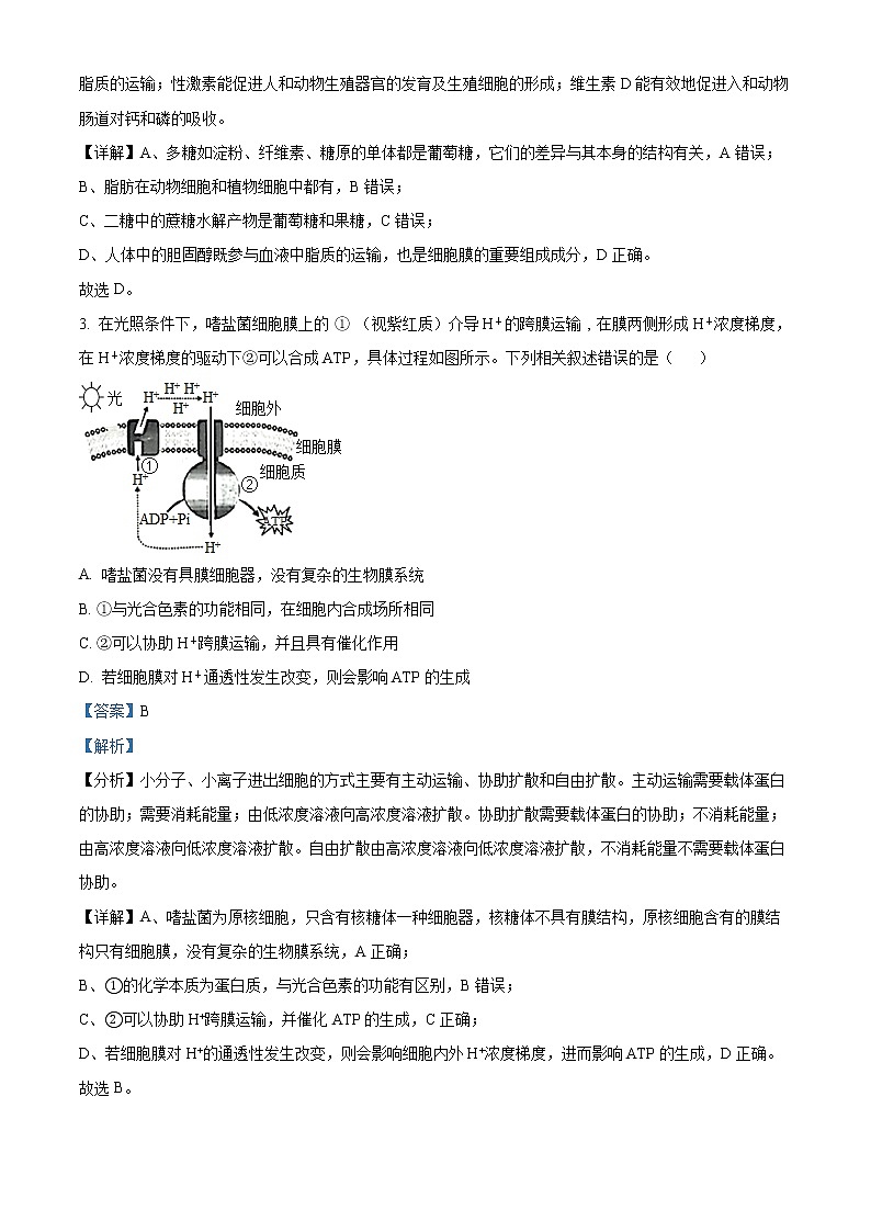 2023湖北省高中名校联盟高三第一次联合测评生物试题（含答案）02