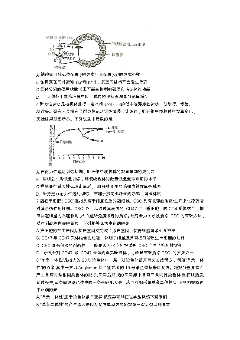 湖北省腾云联盟2022-2023学年高三上学期8月联考生物试题第2页