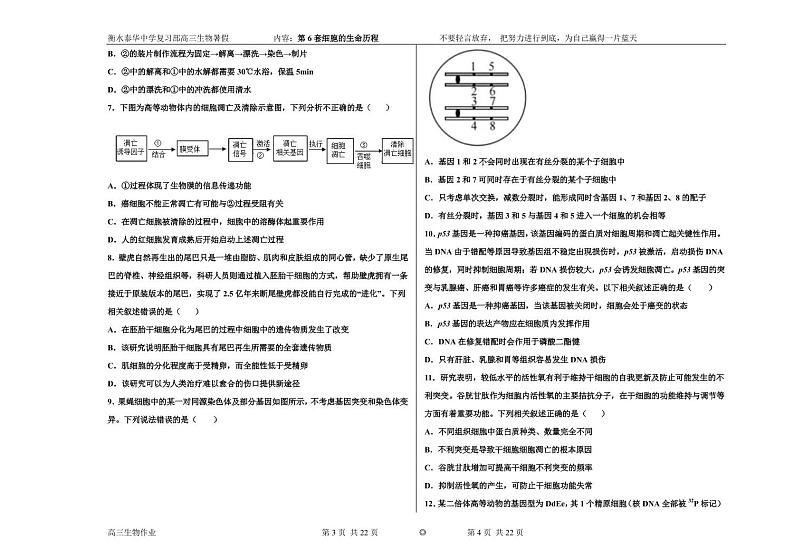 2023届河北省衡水中学、泰华中学高三 决胜新高考 生物暑假必刷密卷第6套（PDF版）02
