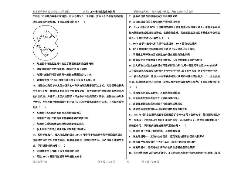 2023届河北省衡水中学、泰华中学高三 决胜新高考 生物暑假必刷密卷第6套（PDF版）03