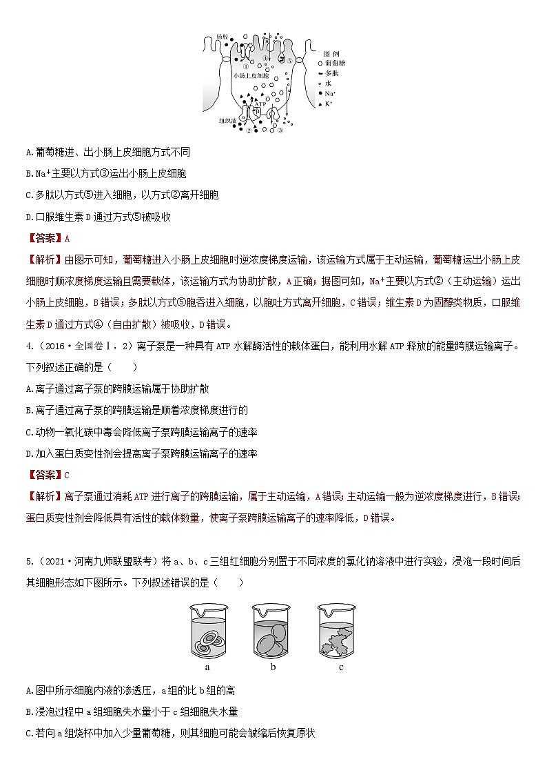 人教版高三生物 必刷高频考点二《细胞内的物质运输》试卷（原卷+解析）02