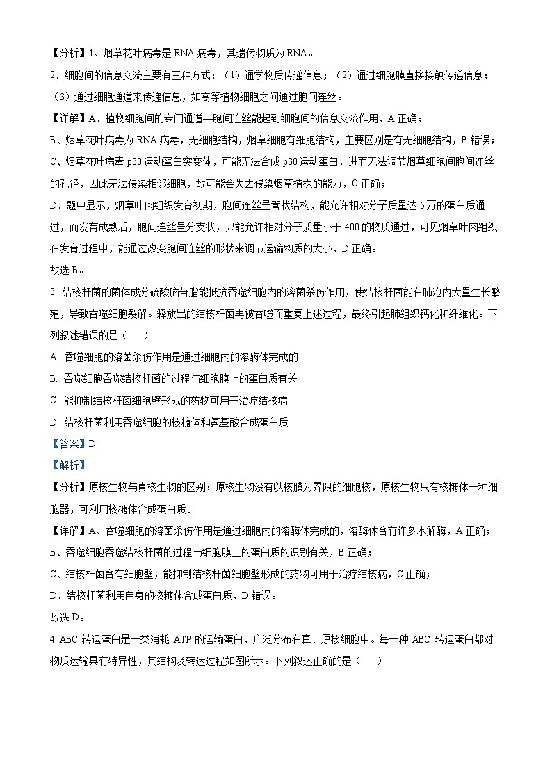 2022聊城高二下学期期末考试生物试题含解析02