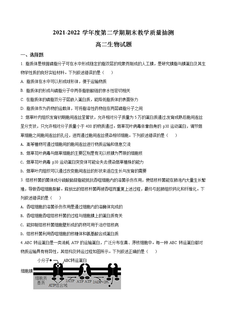 2022聊城高二下学期期末考试生物试题含解析01