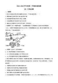 2022济宁高二下学期期末考试生物试题含解析