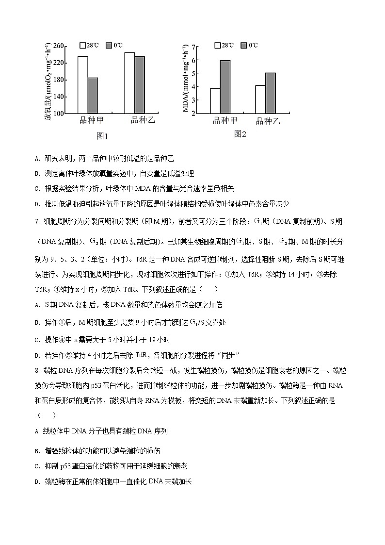 2022济宁高二下学期期末考试生物试题含解析03