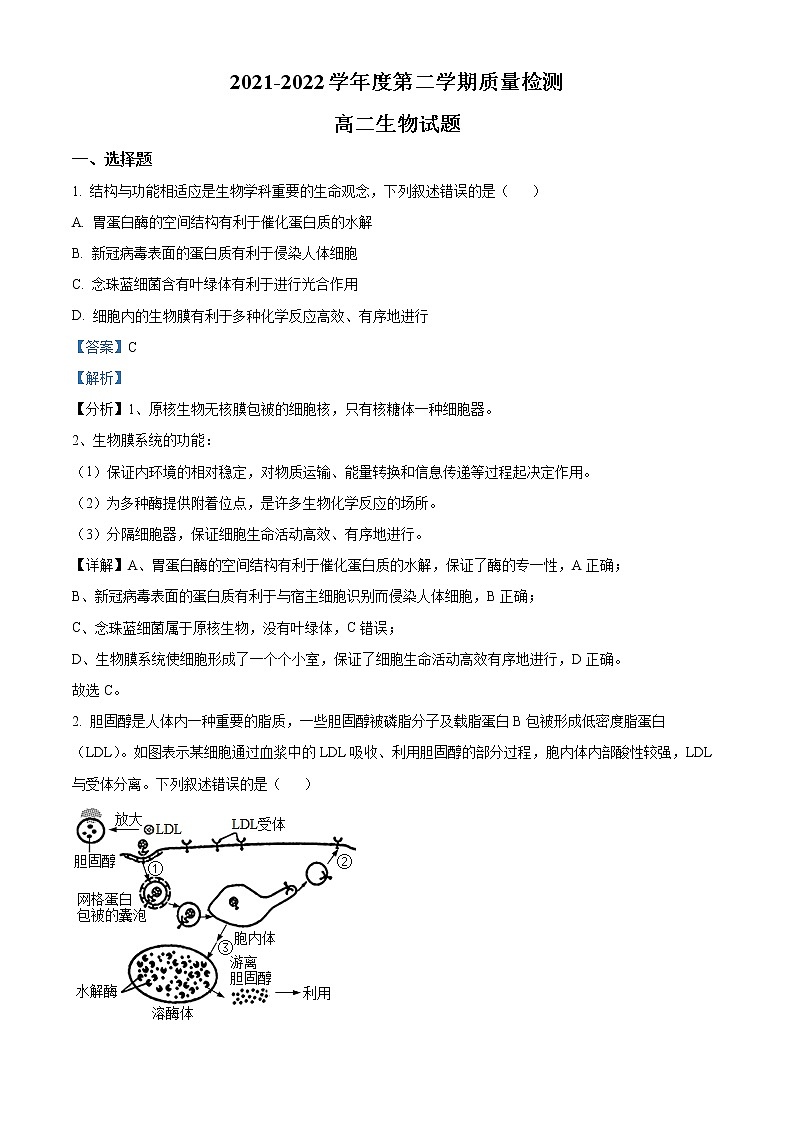 2022济宁高二下学期期末考试生物试题含解析01