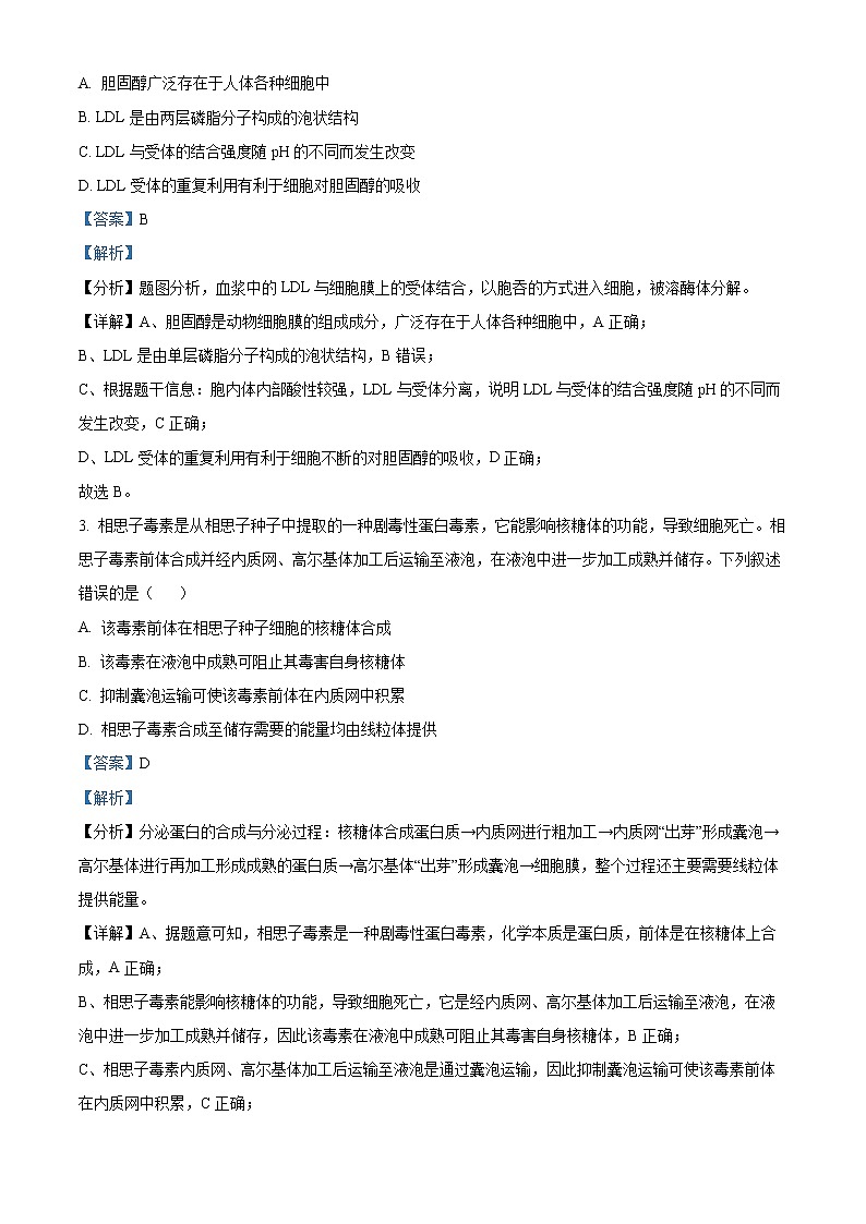 2022济宁高二下学期期末考试生物试题含解析02