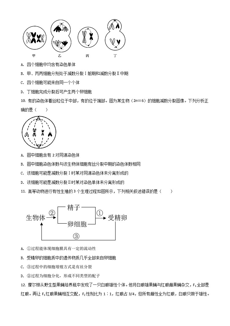 2022宣城泾县中学高一下学期第一次月考生物试题含答案03