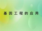 浙科版 2019 高中选修3生物 1.3 基因工程的应用 课件