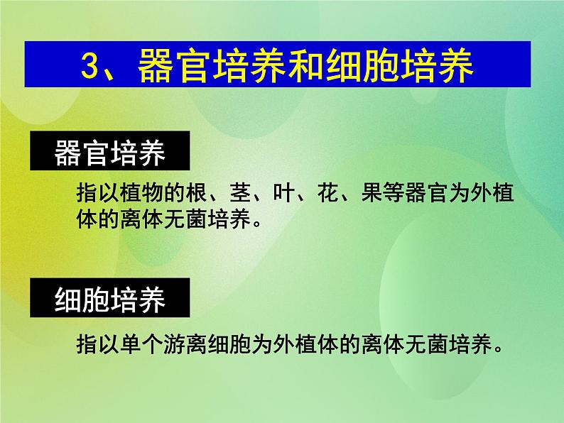 浙科版 2019 高中选修3生物 2.2 植物的克隆 课件第6页